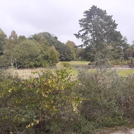 La Maisonnette Holiday home Hopital-Camfrout